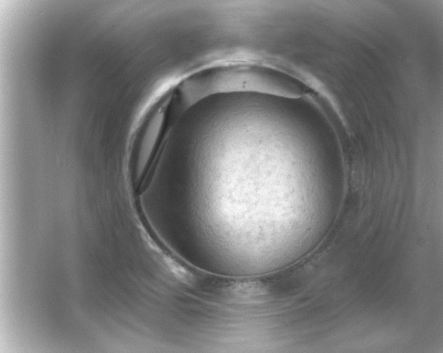 X0000066091464200603101153