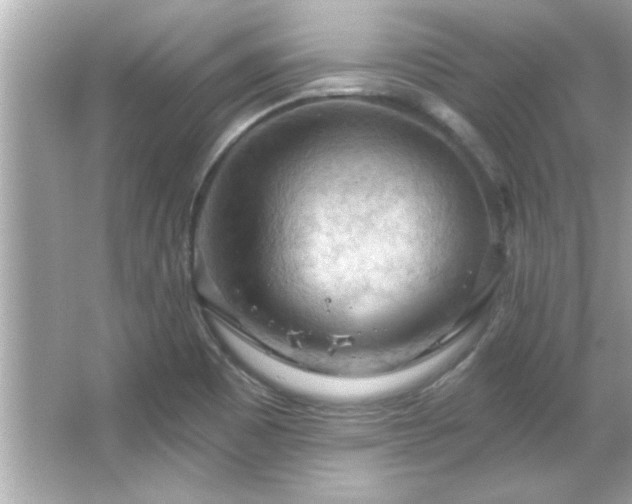 X0000066091465200603101153