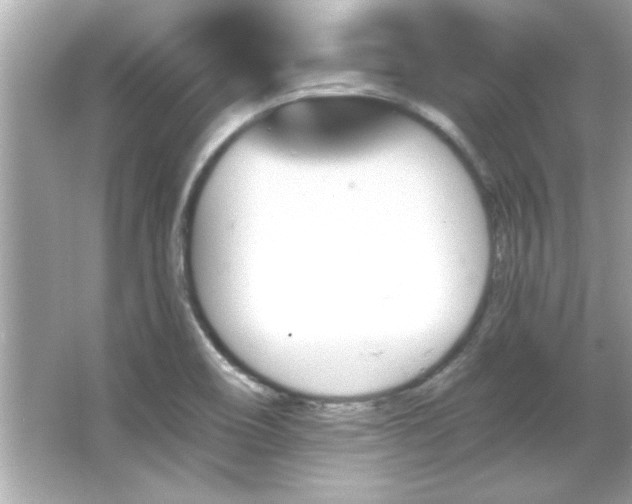 X0000066091466200603101153