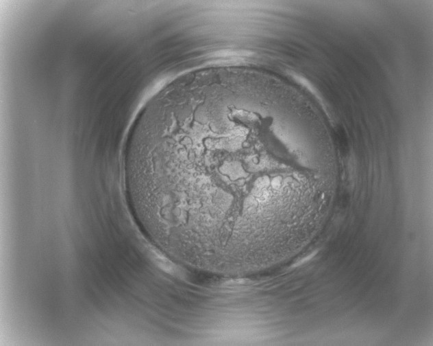 X0000066091467200603101153