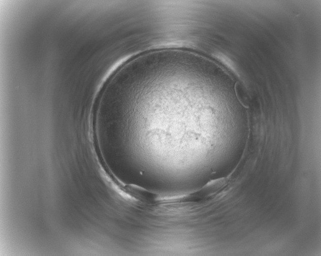 X0000066091468200603101153