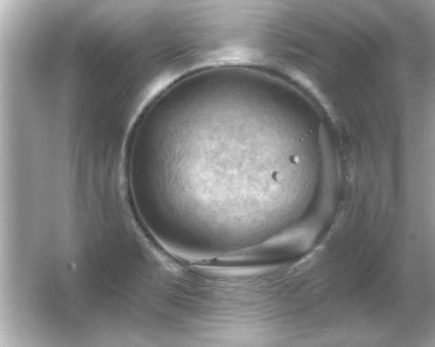 X0000066091469200603101153