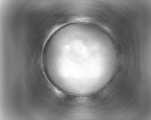 X0000066091470200603101153