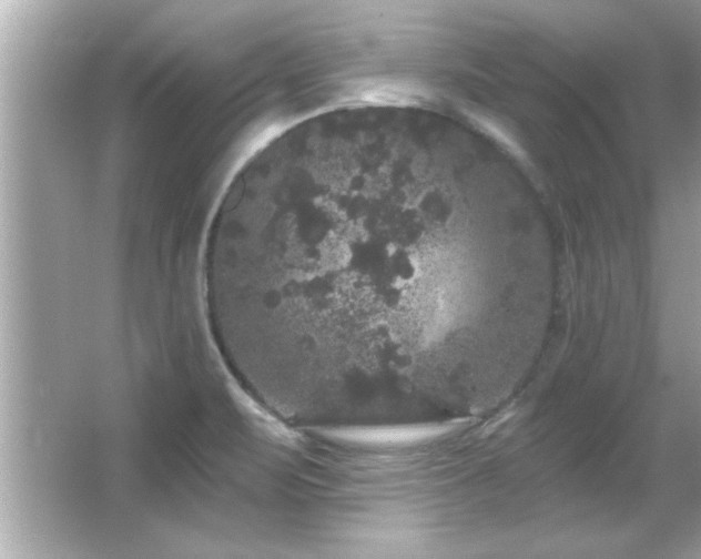 X0000066091471200603101153