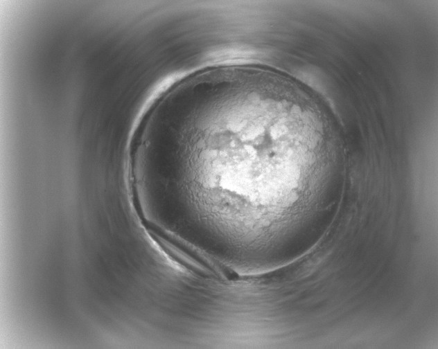 X0000066091472200603101153