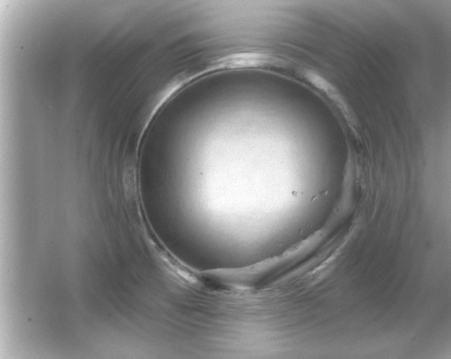 X0000066091473200603101153