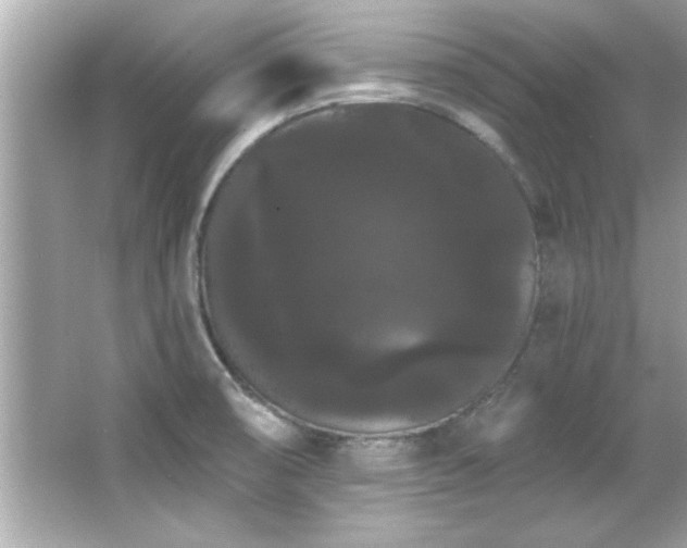 X0000066091474200603101153