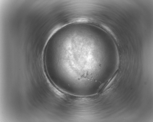 X0000066091475200603101153