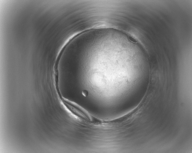 X0000066091476200603101153