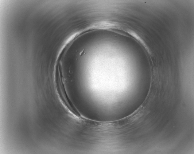 X0000066091477200603101153