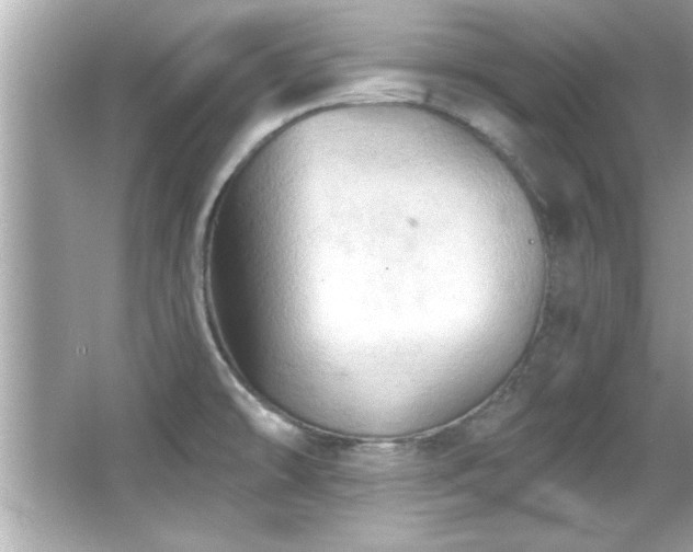 X0000066091478200603101153