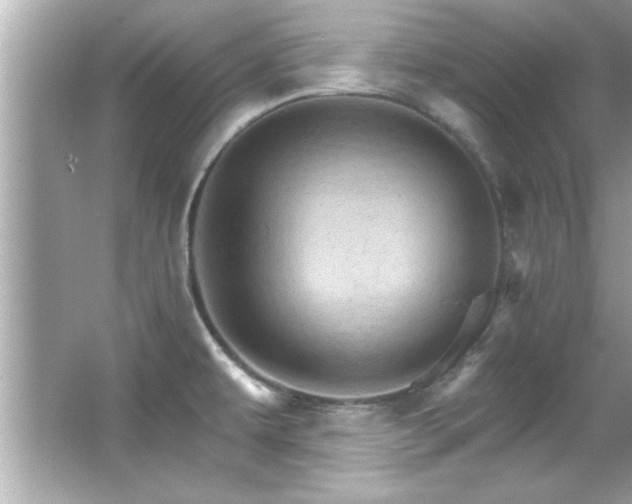 X0000066091479200603101153