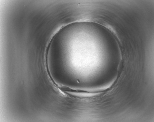 X0000066091480200603101153