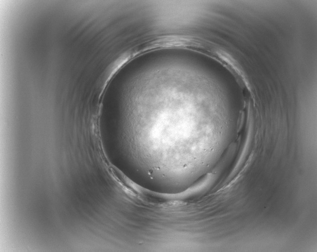 X0000066091481200603101153