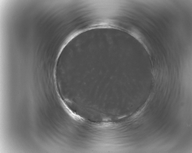 X0000066091482200603101153