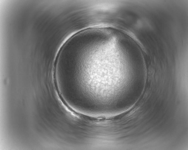 X0000066091484200603101153