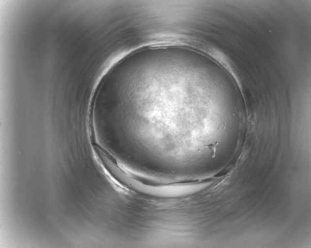 X0000066091485200603101153