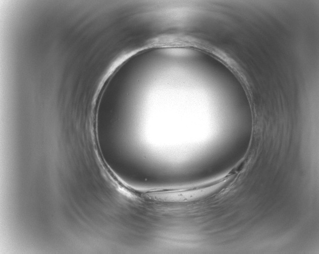 X0000066091486200603101153