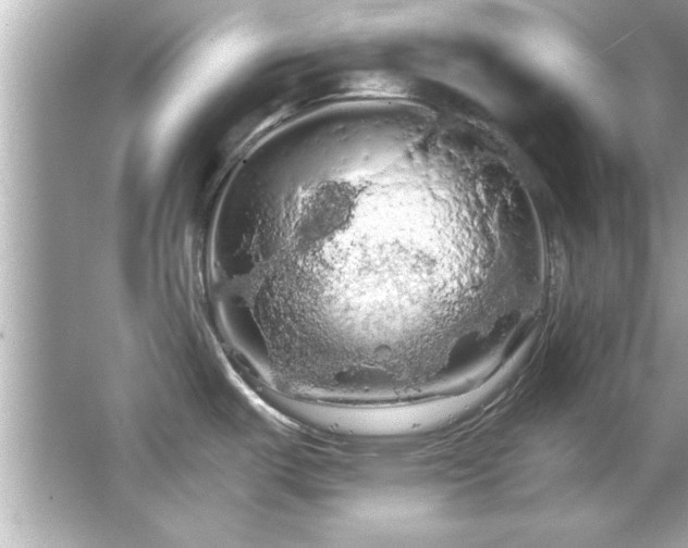 X0000066091487200603101153