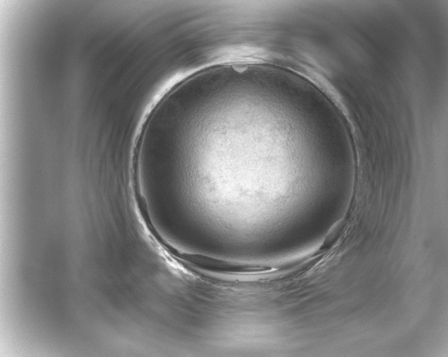 X0000066091488200603101153