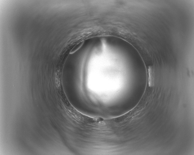 X0000066091491200603101152