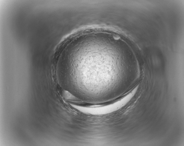 X0000066091494200603101152