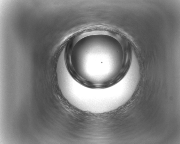 X0000066091496200603101152