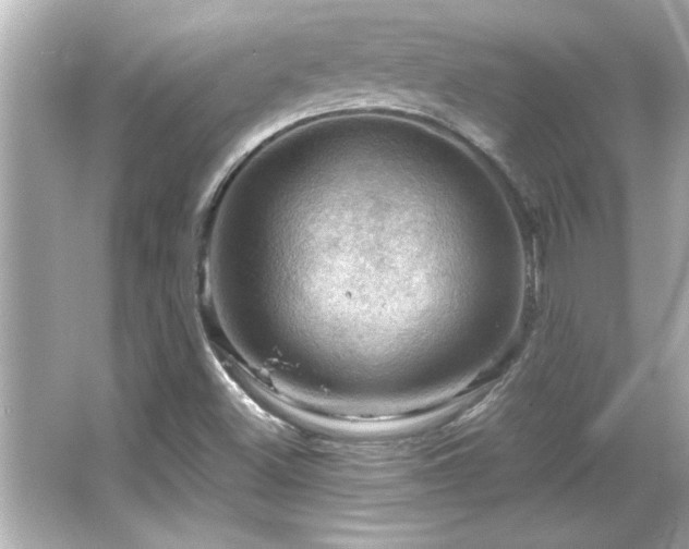 X0000066091500200603101152