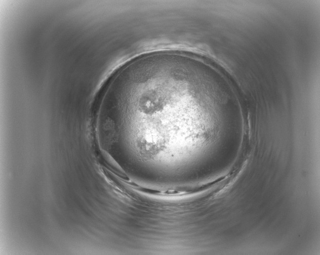 X0000066091501200603101152