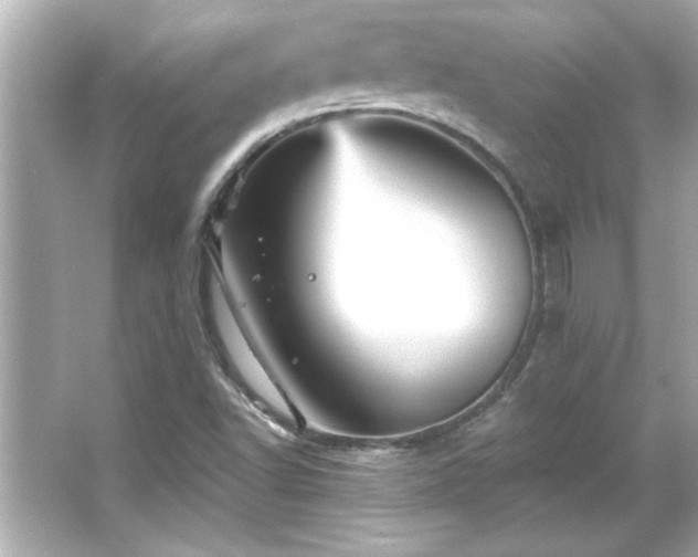 X0000066091502200603101152