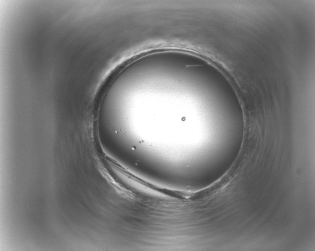 X0000066091503200603101152