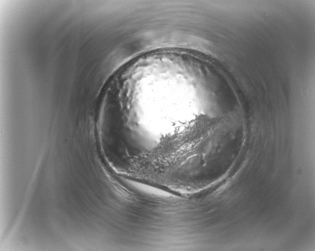 X0000066091505200603101152