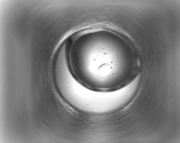 X0000066091506200603101152