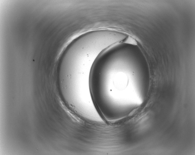 X0000066091507200603101152