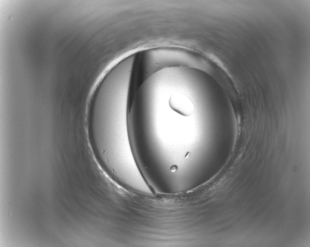 X0000066091508200603101152