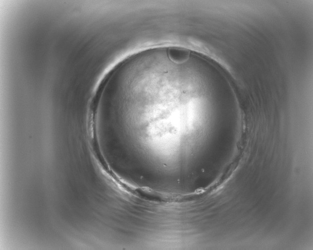 X0000066091510200603101153