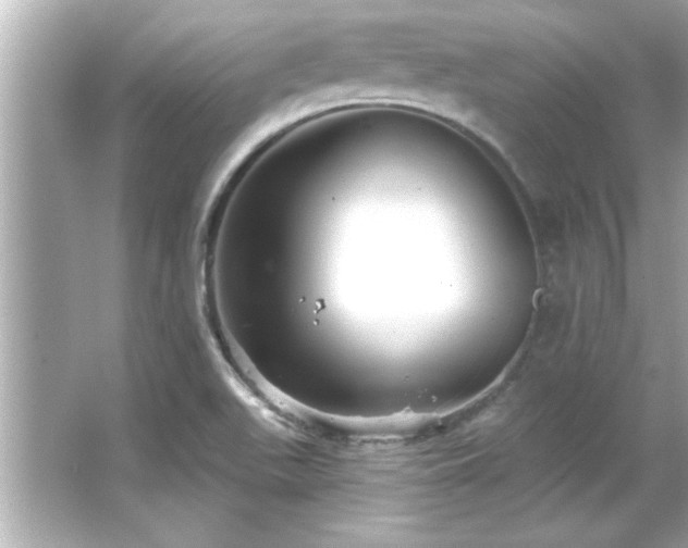 X0000066091511200603101153