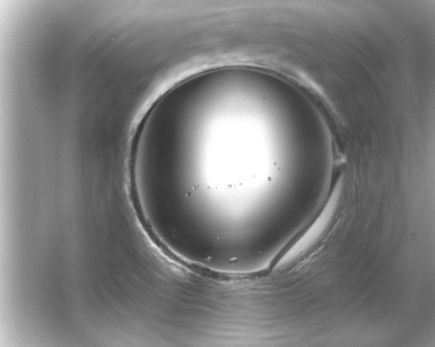 X0000066091512200603101153