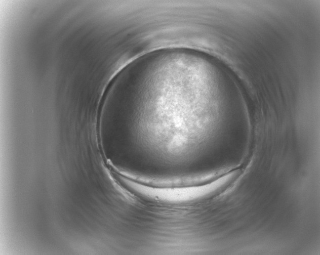 X0000066091513200603101153