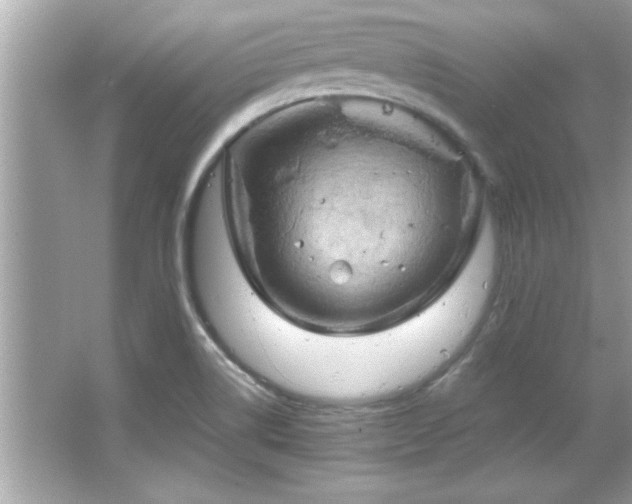 X0000066091514200603101153