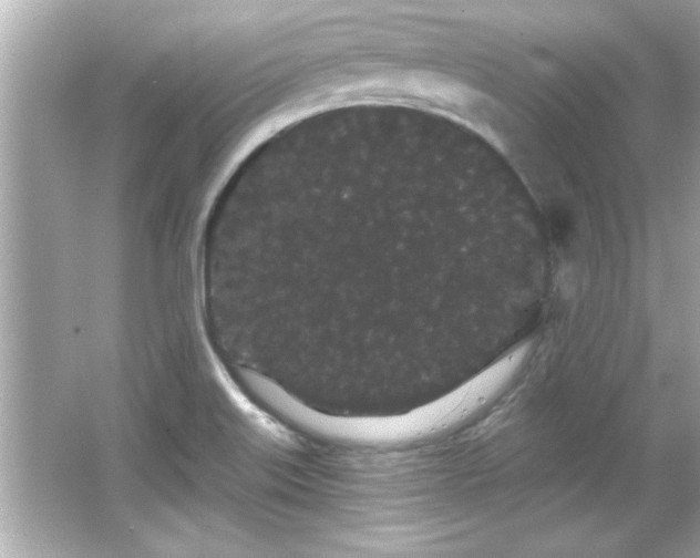 X0000066091515200603101153