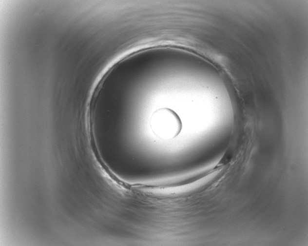 X0000066091516200603101153