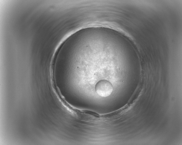 X0000066091517200603101153