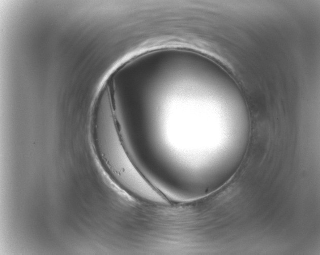 X0000066091518200603101153