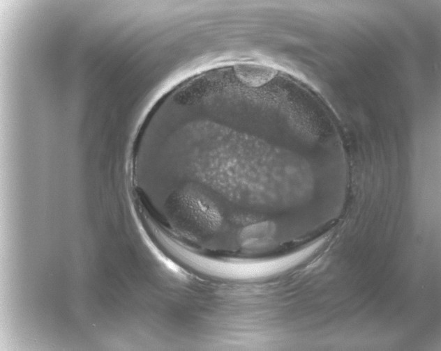 X0000066091519200603101153