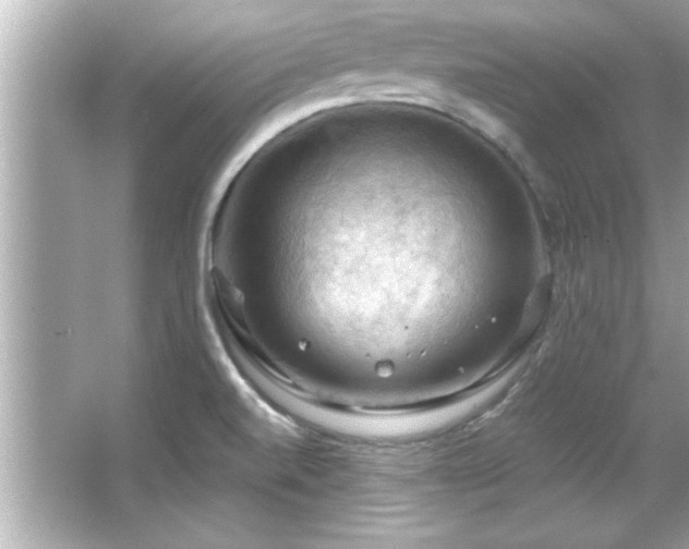 X0000066091520200603101153