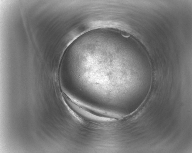 X0000066091521200603101153