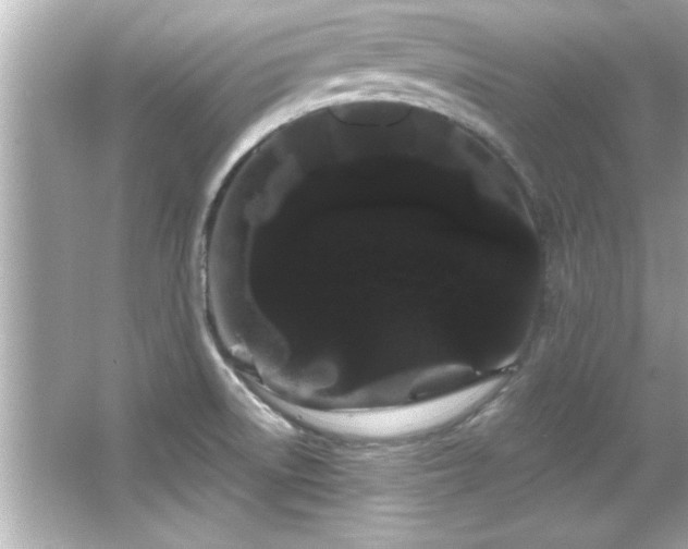 X0000066091522200603101153