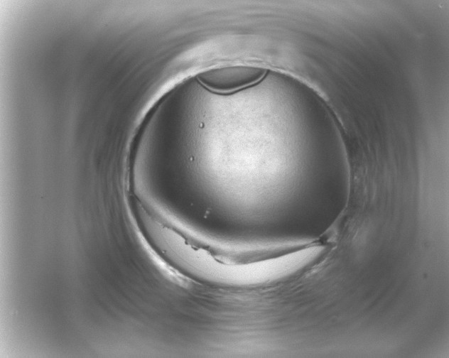 X0000066091523200603101153