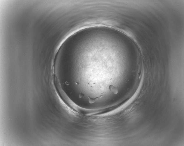 X0000066091524200603101153